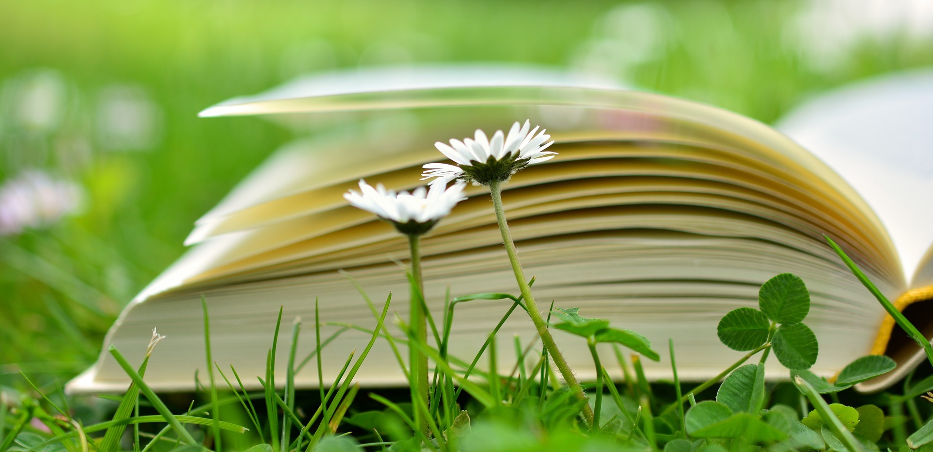 christian-books-on-healing-past-hurts