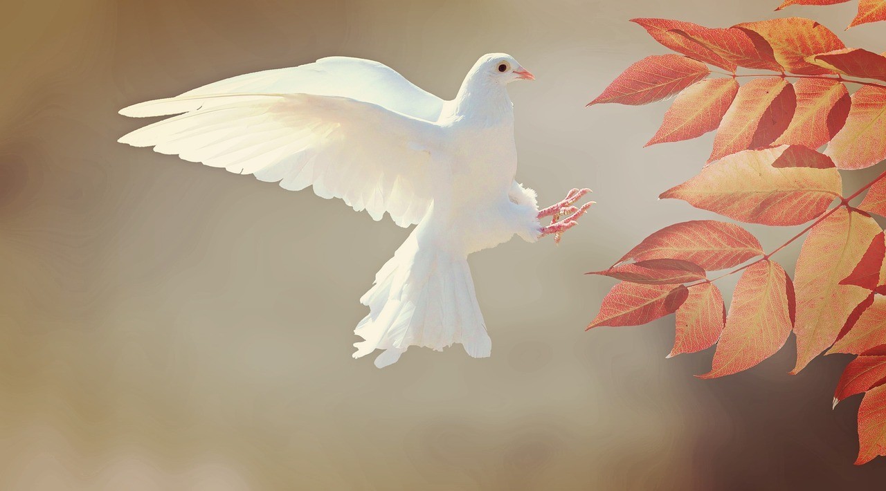 christian-books-on-healing-and-deliverance